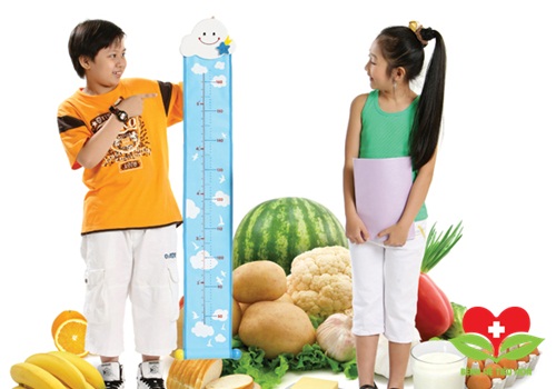 Quan niệm chiều cao phụ thuộc hoàn toàn vào yễu tố di truyền từ cha mẹ Quan niệm chiều cao phụ thuộc hoàn toàn vào yễu tố di truyền từ cha mẹ