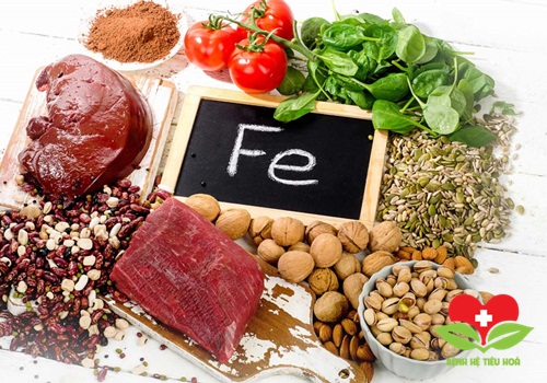 Bệnh nhân nên tăng cường sử dụng những thực phẩm chứa sắt Bệnh nhân nên tăng cường sử dụng những thực phẩm chứa sắt