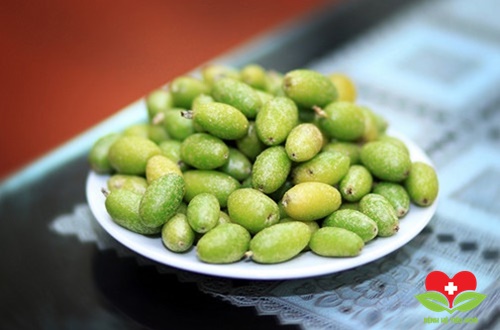 Tác dụng của nhót xanh