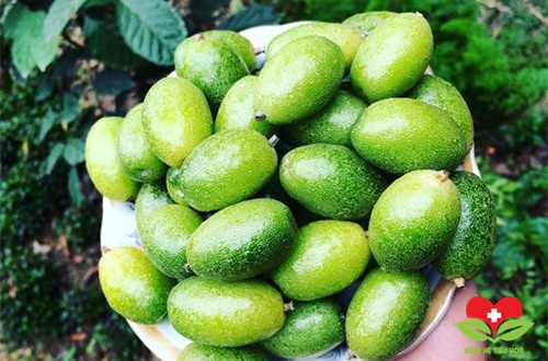 Cảnh báo: ăn nhiều nhót xanh dễ bị loét dạ dày