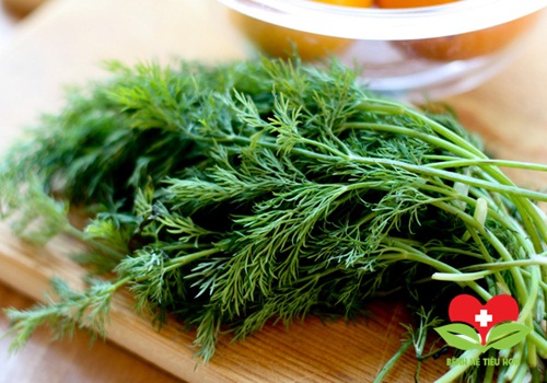 Bài thuốc từ thì là điều trị và phòng ngừa bệnh hôi miệng Bài thuốc từ thì là điều trị và phòng ngừa bệnh hôi miệng