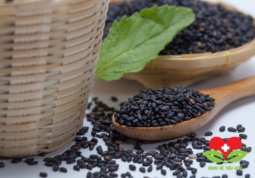 Bạn đã biết những bài thuốc Đông Y hiệu quả như thuốc kháng sinh? Bạn đã biết những bài thuốc Đông Y hiệu quả như thuốc kháng sinh?