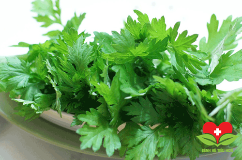 Thầy thuốc y học cổ truyền khẳng định cải cúc có thể chữa nhiều bệnh Thầy thuốc y học cổ truyền khẳng định cải cúc có thể chữa nhiều bệnh