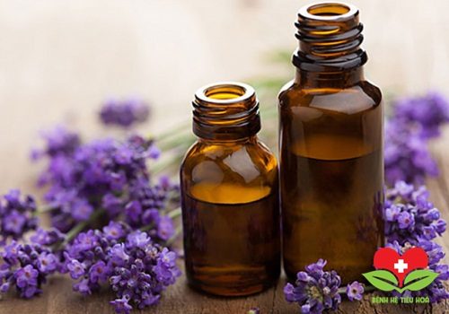 Khám phá công dụng chữa bệnh tuyệt vời từ hoa oải hương
