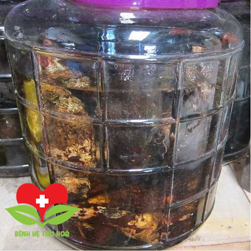 Tầm gửi thường được sử dụng để ngâm rượu uống hoặc dùng xoa bóp các khớp