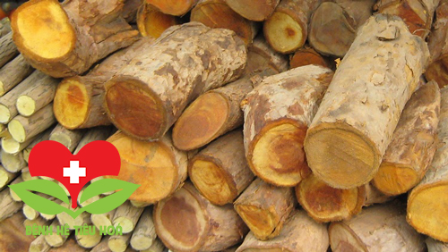Mật gấu thường được dùng để ngâm rượu hay làm thuốc chữa bệnh