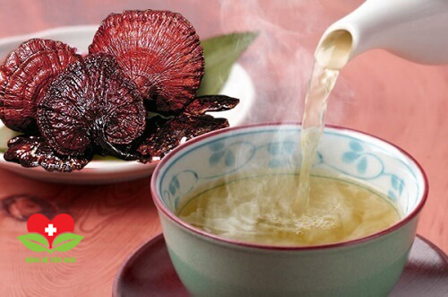 Một số đối tượng không nên lạm dụng nấm lim xanh